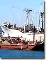 SS Red Oak Victory Ship