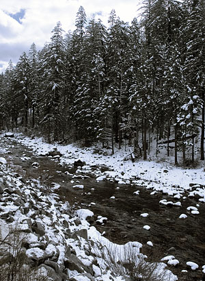 South Fork of American River Near Kyburz, California