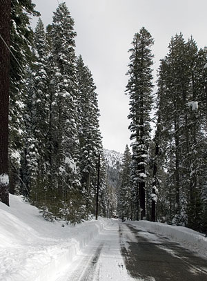 Pony Express Trail in Winter