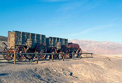 Mule Wagon