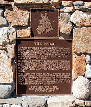 Point of Interest: The Mule in Bishop