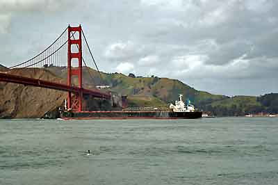 Marin County Headlands