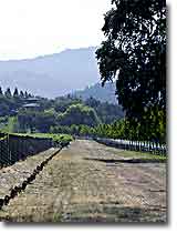 Far Niente Winery