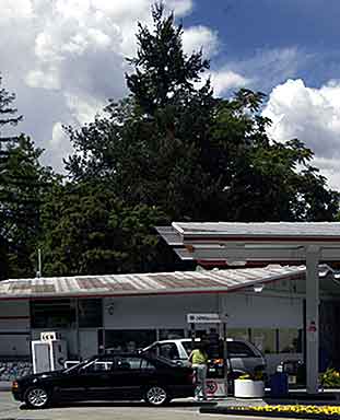 Site of Hudson Cabin in Calistoga, California