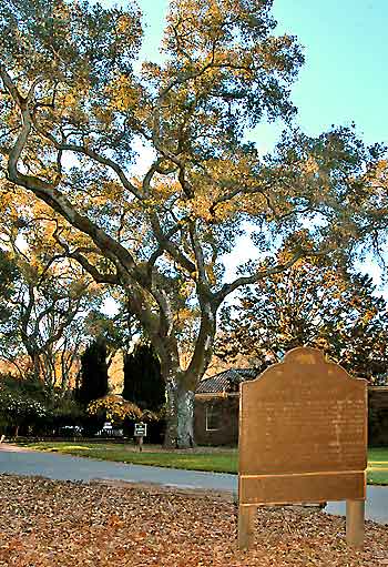 Filoli Commemorative Plaque