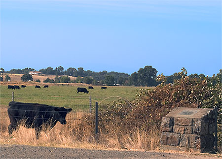 Site of Fort Reading Near Anderson, California
