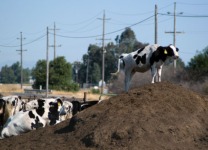 Corning Road (Tehama County Road A9)