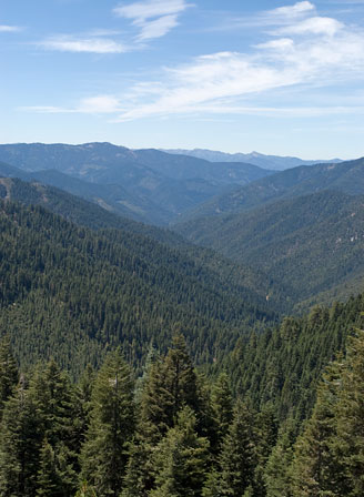 Klamath National Forest Viewed from Sawyers Bar Road