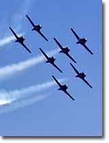 Canadian Snowbirds