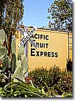 Sebastopol Depot of the Petaluma and Santa Rosa Railway