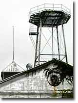 Petaluma Silk Mill