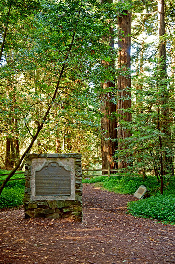 California Historical Landmark #962: Blossom Rock Navigation Trees