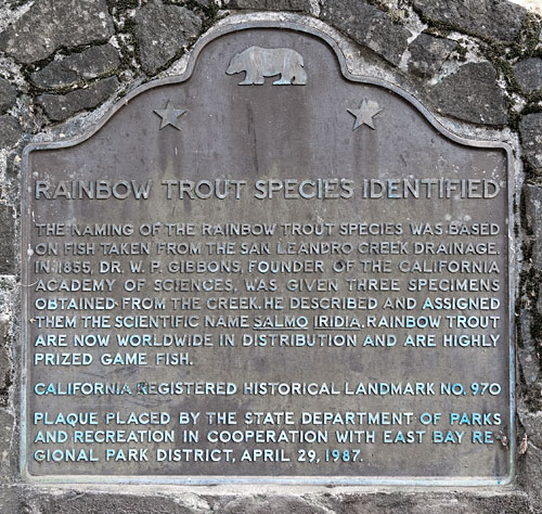 California Historical Landmark #970: Rainbow Trout Species Identified
