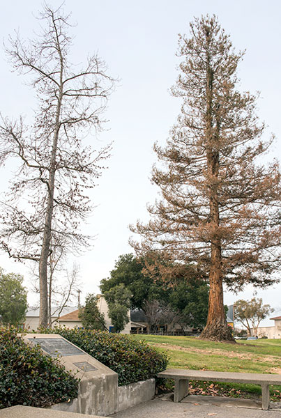 California Historical Landmark #241: Livermore Memorial Monument