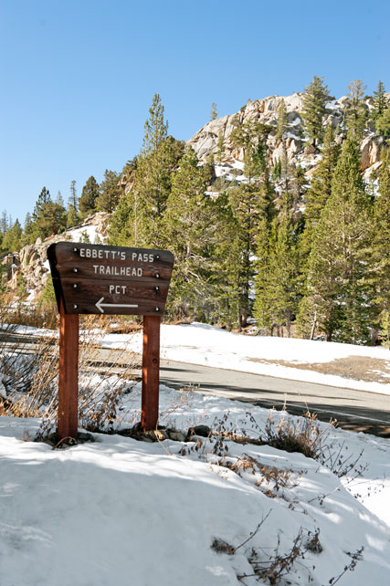 Pacific Crest Trail at Ebbetts Pass