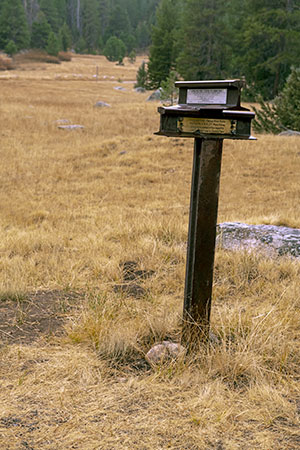 Luther Pass Trail Marker 1 and Carson Trail Marker 40