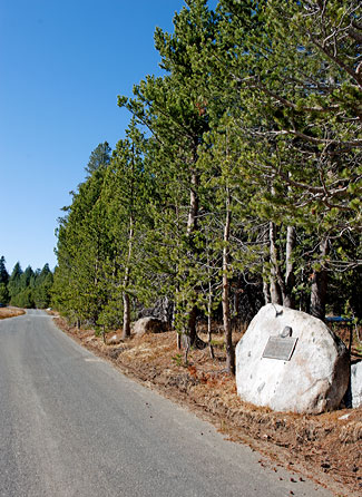 Old Emigrant Road in Bear Valley
