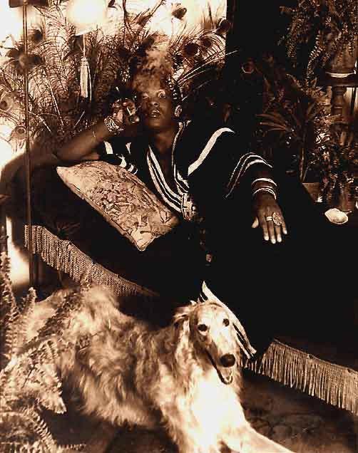 Sylvester at Home