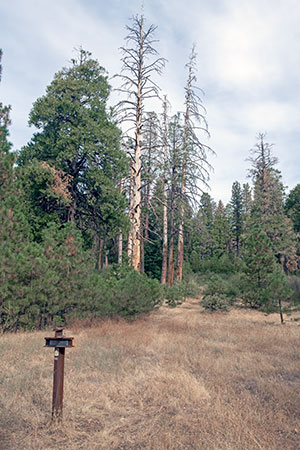 Johnson Cutoff Trail Marker 25: Cutoff to Johnson Ranch and Placerville