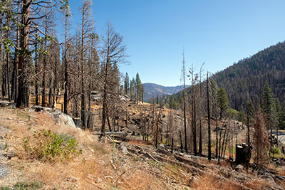 Caldor Fire on Wrights Lake Road