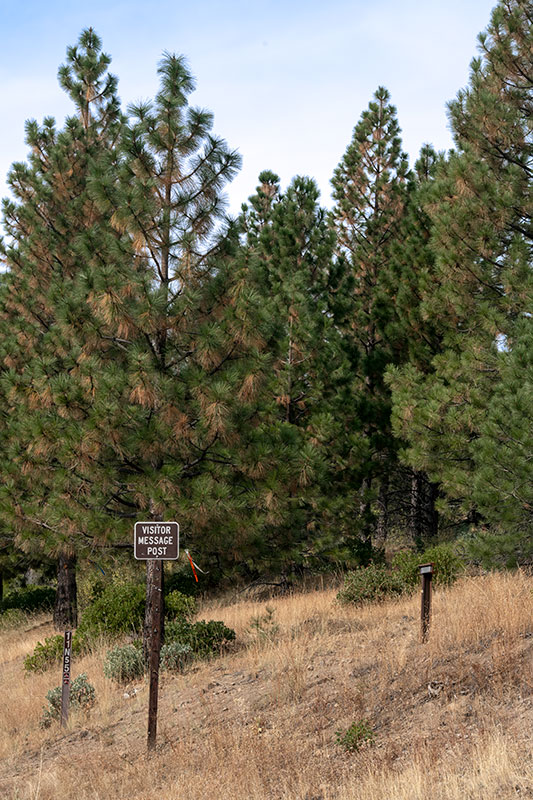 Johnson Cutoff Marker 18 on Peavine Ridge Road: Sear