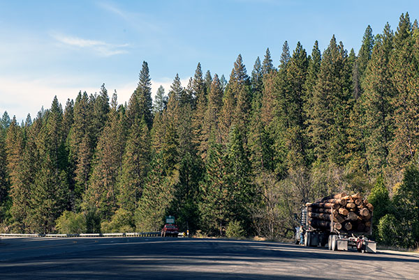 Timber Truck at Ice House Road Rest Area on US-50