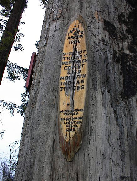 California Landmark 164: Indian Arrow Tree in Humboldt County