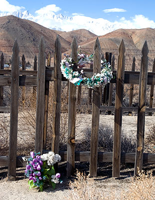 California Historical Landmark #507: Earthquake Victims Grave