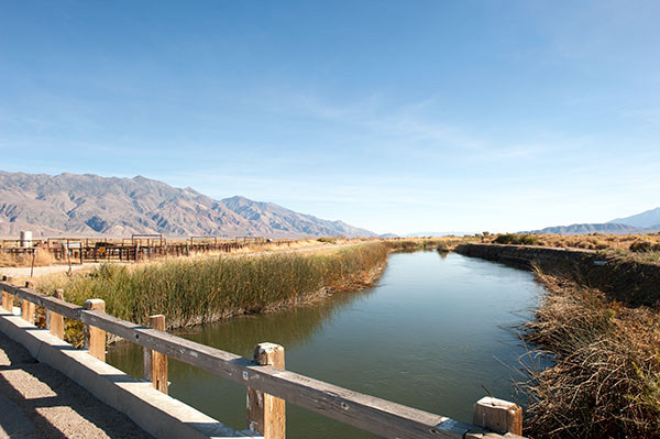 The Owens River and Inyo Mountains Near the Site of Bend City