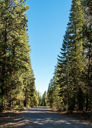 Butte Lake Road (Forest Road 32N31)