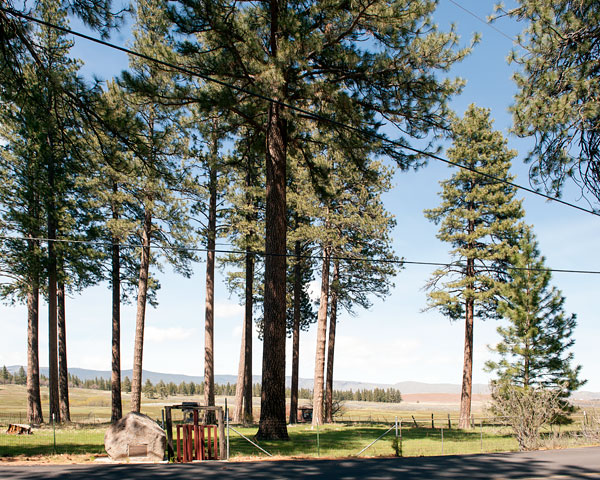 California Historical Landmark #565: Lassen Grave