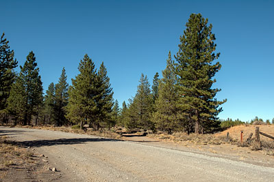 Nobles Trail 36: Butte Creek Meadow