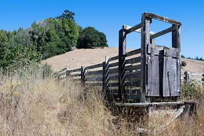 Cattle Chute at Stewart Ranch