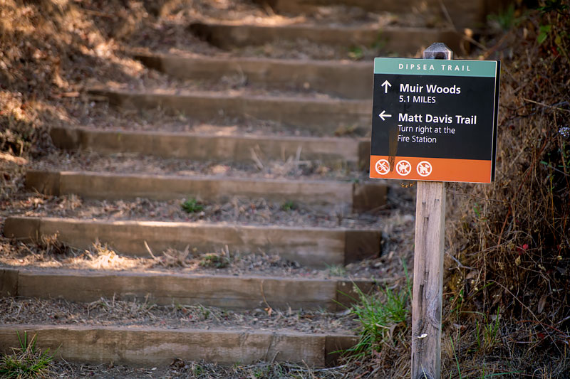 dipsea trail shoe 5.0