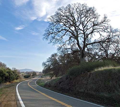 Hornitos Road Between Agua Fria and Hornitos