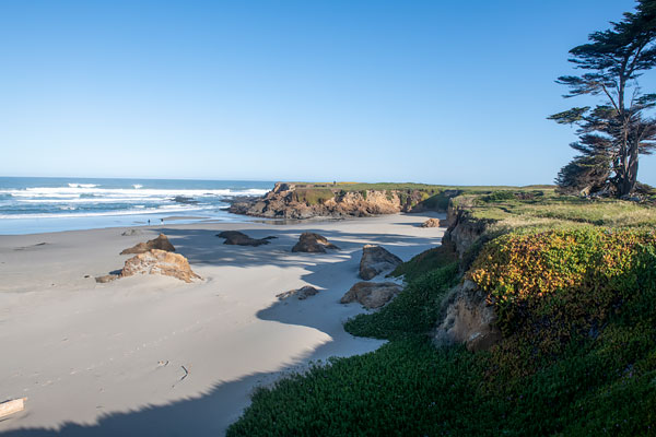 Beach and bluffs at the mouth of Pudding Creek