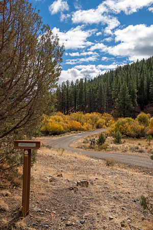 Applegate Trail Marker 31: Descent to Lassen Creek