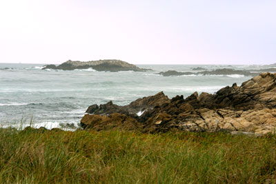 Pacific Shoreline Near the Connell House