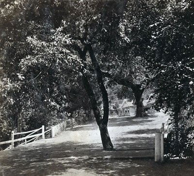 White Sulphur Springs Bridge and Cottages c1865