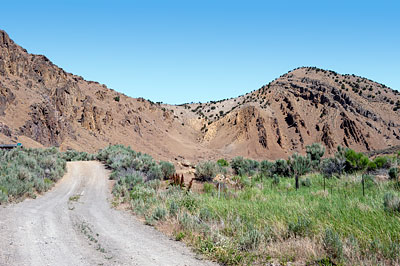 The Road in Carlin Canyon