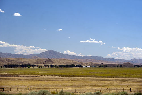 Nevada Historic Marker 187: The Cattle Industry