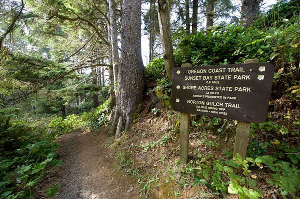Oregon Coast Trail Near Sunset Bay