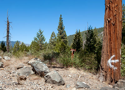 Truckee Trail T-47: Ascent to Lake and Valley