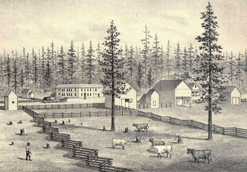 Undated Lithograph of Bucks Ranch