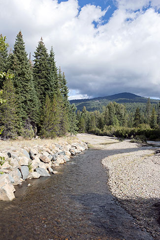 North Fork Feather River in Lassen National Forest