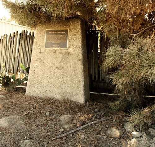 Tres Pinos/Paicines in Paicines, California