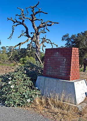 California Historical Landmark #777: San Joaquin City Site