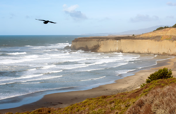 Tunitas Creek Beach