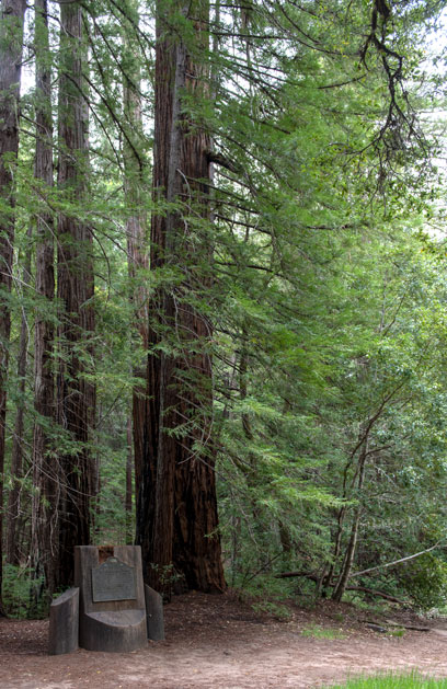 California Historical Landmark #827: Big Basin Redwoods State Park
