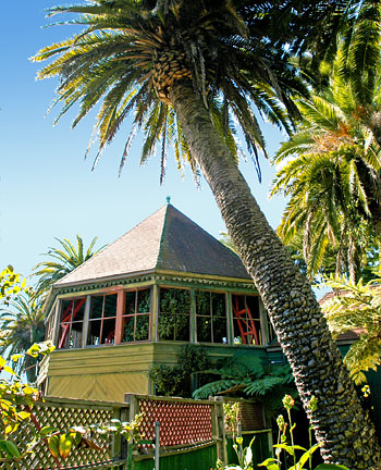 San Francisco Landmark #78: Sunnyside Conservatory